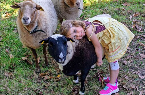 Tiere füttern, streicheln und pflegen – auch das gehört zum pädagogischen Konzept des Abi Vaihingen. Foto: Abi Vaihingen/Dennis Driehaus