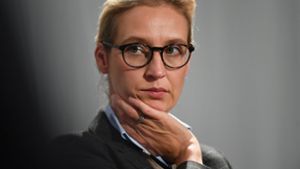 Die Schweizer Spende war mit dem Verwendungszweck „Wahlkampfspende Alice Weidel“ deklariert. Foto: dpa