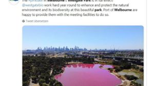 Der pinkfarbene See im Westgate Park. Im Hintergrund ist die Skyline von Melbourne zu sehen. Foto: Screenshot Twitter/twitter.com/search?src=typd&q=westgate%20park%20melbourne&lang=de