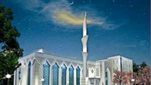 Der Entwurf der neuen Moschee wirkt wie aus einem Märchen. Foto: privat