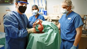 Ärzte hantieren an dem modifizierten Schweineherz, das später dem Patienten eingesetzt wurde. Foto: dpa/Tom Jemski