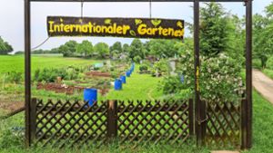 Der Internationale Garten: Hier bauen Menschen aus 13 Nationen ihr Gemüse an. Foto: factum//Simon Granville/Archiv