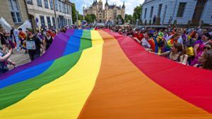 Beim Christopher Street Day wird jedes Jahr die queere Community gefeiert und für deren Rechte demonstriert. Foto: dpa/Jens Büttner