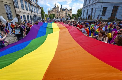 Beim Christopher Street Day wird jedes Jahr die queere Community gefeiert und für deren Rechte demonstriert. Foto: dpa/Jens Büttner