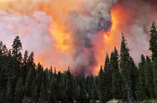 In Kalifornien wüten Waldbrände. Hinter dem Huntington Lake steigt Rauch auf. Foto: dpa/Eric Paul Zamora