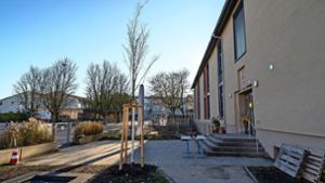 Münchingens Schulcampus soll noch grüner werden. Im Oktober pflanzte die Stadt bei der Sportkita Sportnest einen weiteren Baum. Der wächst nun in die Höhe und Breite. Foto: Jürgen Bach