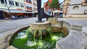 Grünes Wasser im Rathaus-Brunnen Foto: seb