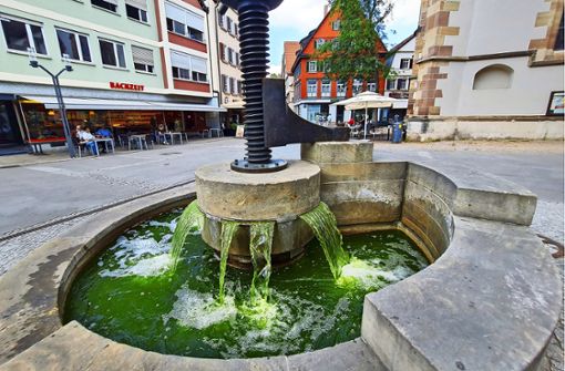 Grünes Wasser im Rathaus-Brunnen Foto: seb