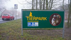 Der Tierpark Ueckermünde in Mecklenburg-Vorpommern hat seit Freitag geschlossen – wegen der Vogelgrippe. Foto: dpa