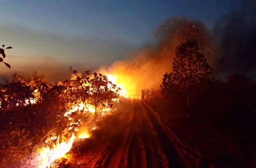 Seit Tagen wüten riesige  Waldbrände in Brasilien. Foto: dpa