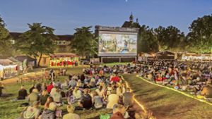So lässt sich Kino in lauschigen Sommernächten besonders angenehm genießen: Das Filmfestival auf der Esslinger Burg stand einmal mehr unter einem günstigen Stern. Foto: Roberto Bulgrin