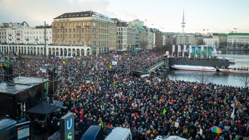 Demonstration gegen rechts in Hamburg. Foto: dpa/Jonas Walzberg