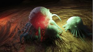 3D-Illustration einer Krebszelle: Jedes Jahr erleben rund 500 000 Menschen in Deutschland den  Schockmoment: Krebsdiagnose. Foto: Imago/Westend61
