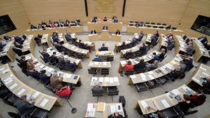 Abgeordnete des Landtags erhalten ab Juli deutlich mehr als 8000 Euro im Monat. Foto: dpa