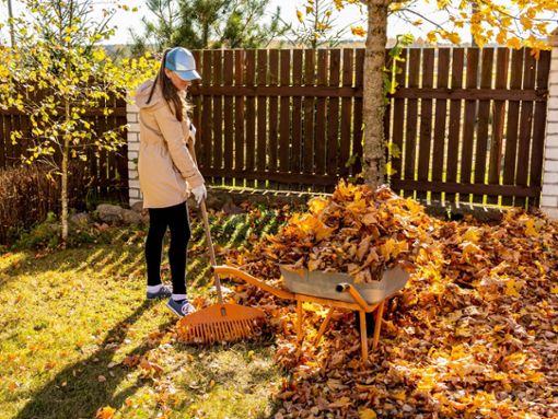 Im Herbst gibt es im Garten einiges zu tun. Foto: J_Koneva/Shutterstock.com