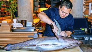 Der  37 Kilo schwerer Thunfisch hat einen eisgekühlten Langstreckenflug von den Malediven zurückgelegt und wird im japanischen Restaurant Mikôto zerlegt. Foto: Thomas Niedermüller