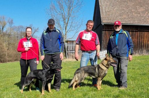 Bereit zur Prüfung: Die Böblinger Teilnehmer beim Züchter-Wettbewerb. Foto: Schäferhundeverein Böblingen
