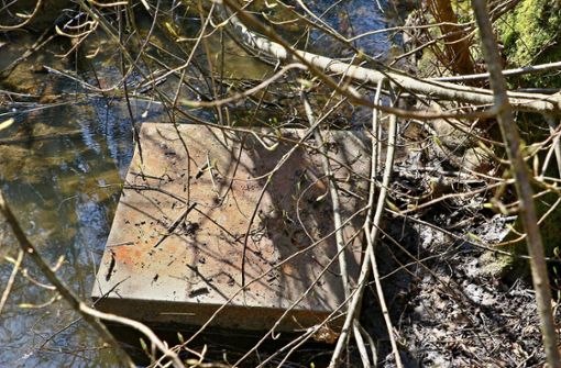 Ob auf Wiesen, Wegen oder in Gewässern: Wilder Müll ist und bleibt ein Problem Foto: KS-Images.de/Karsten Schmalz