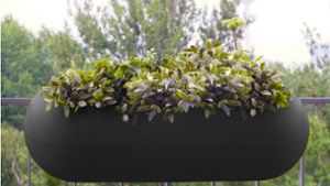 Das Grüne passt gut ins dunkle Eckige: Balkonblumenkästen können auch gut aussehen –  wie diese von Rephorm. Foto: Hersteller/Rephorm