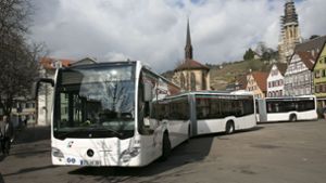 Der SVE plant,  zu 100 Prozent mit Elektrobussen zu fahren. Foto: Horst Rudel
