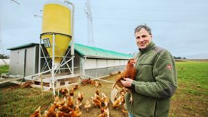 Um seine Hennen zu schützen, herrschen im Stall von Christoph Eberhardt ohnehin strenge Hygienemaßnahmen. Foto: Ines Rudel