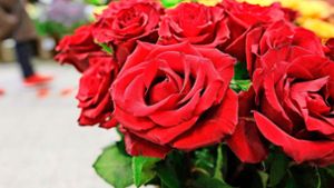 Auch zahlreiche Rosensträuße hat der 47-jährige  Stalker seinem Opfer als Botschaft  hinterlassen. Foto: dpa/Sebastian Willnow