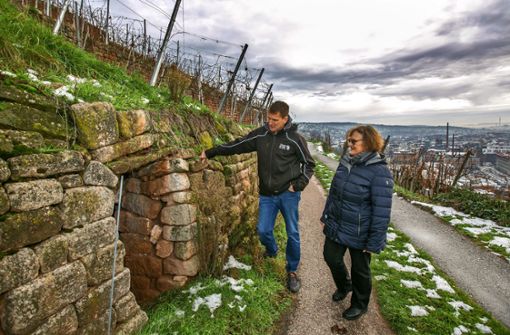 Jochen Clauß, Margit Rapp und ihre Vereinskollegen sorgen mit dafür, dass Wein made in Esslinger Steillagen weiterhin munden kann. Foto: Roberto Bulgrin