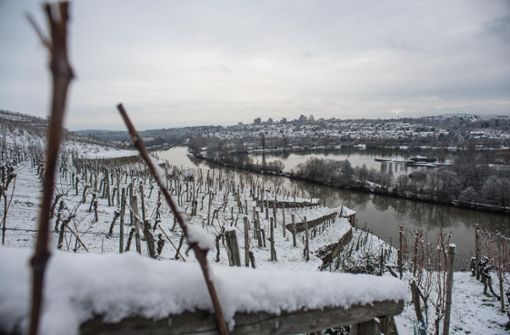 In Stuttgart bleibt es klirrend-kalt. Foto: Lichtgut/Max Kovalenko