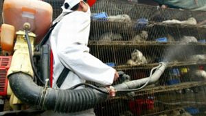 Ein Arbeiter im chinesischen Guangzhou desinfiziert auf einem Wildtiermarkt Käfige mit Larvenrollern. Angesichts der Corona-Krise fordern immer mehr Forscher ein globales Frühwarnsystem für Viren aus dem Tierreich. Eine frühzeitige Entdeckung könnte in Zukunft ähnliche Pandemien verhindern Foto: Chang Feng/epa/dpa