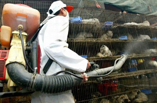 Ein Arbeiter im chinesischen Guangzhou desinfiziert auf einem Wildtiermarkt Käfige mit Larvenrollern. Angesichts der Corona-Krise fordern immer mehr Forscher ein globales Frühwarnsystem für Viren aus dem Tierreich. Eine frühzeitige Entdeckung könnte in Zukunft ähnliche Pandemien verhindern Foto: Chang Feng/epa/dpa