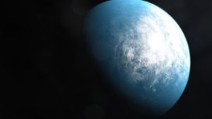 So stellt sich ein Künstler der Nasa den Exoplaneten TOI 700 d vor. Foto: AFP/HANDOUT
