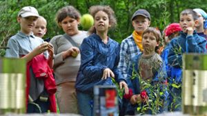 Im Waldheim können Kinder ihre Ferien genießen, spielen, alte und neue Freunde finden. Foto: dpa/Uwe Anspach