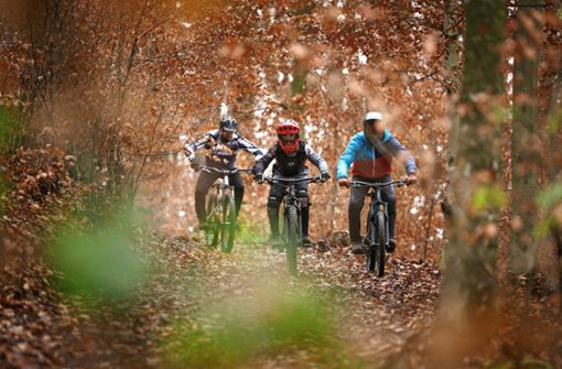 Die Mountainbiker  aus Korb   möchten auf legalen Trails an der frischen Luft ihrem Freizeitsport frönen. Foto: Gottfried Stoppel