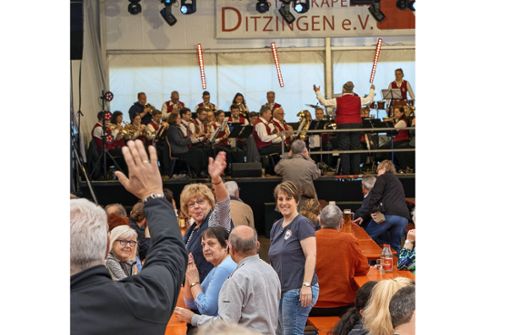 Beste Laune herrscht beim Musikfest in Ditzingen. Foto: Jürgen Bach