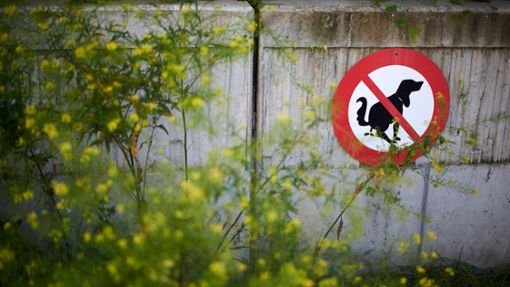 Bis zu 1048 Euro Strafe müssen Hundehalter in einigen Gemeinden in Südtirol zahlen, wenn der Kot am Wegesrand liegen bleibt. Foto: imago images/robertkalb photographien/Robert Kalb via www.imago-images.de