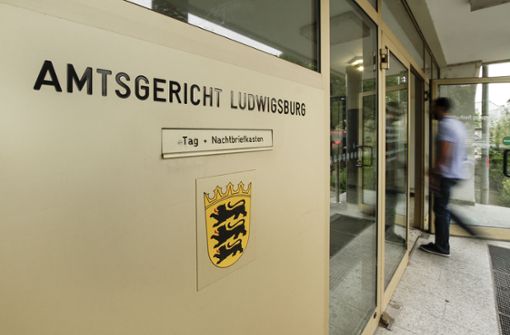 Das Schöffengericht des Amtsgerichtes Ludwigsburg hat den brutalen Täter zu einer Freiheitsstrafe verurteilt. Foto: factum/Bach