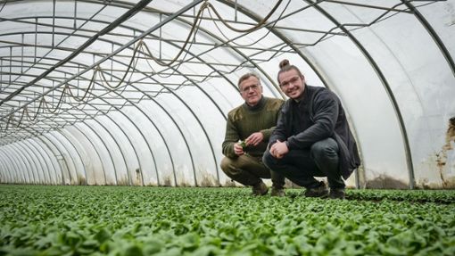 Marcus Arzt pflanzt seit 35 Jahren als Biobauer Feldsalat und Spinat an. Sein Sohn Daniel will den Betrieb übernehmen. Foto: Simon Granville