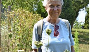 Barbara Drescher ist von der Pflanzenvielfalt auf der Wangener Höhe begeistert, derzeit sind zum Beispiel die weißen Blüten der wilden Möhren zu sehen. Foto: Janey Schumacher