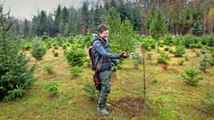 Auch in diesem Jahr  werden  Tannen nicht knapp. Aber der Sommer hat   den von Claudia (Foto) und Heiner Lorenz frisch gepflanzten Bäumen schwer zugesetzt. Foto: Horst Rudel