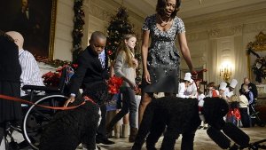 Auch die First Dogs Sunny (rechts) und Bo (links) waren dabei, als First Lady Michelle Obama das weihnachtlich geschmückte Weiße Haus präsentierte. Foto: dpa