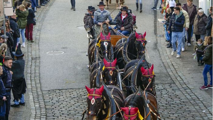 Größtes Fest des Jahres in Leonberg: Pferdemarkt steuert auf den Höhepunkt zu