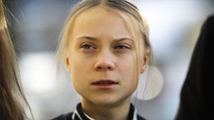 Schon 2019 war Greta Thunberg für die Auszeichnung nominiert. Foto: AP/Markus Schreiber