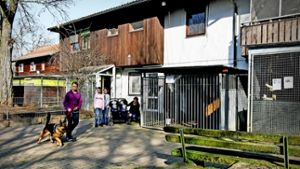 Das Tierheim Ludwigsburg braucht mehr Platz Foto: factum/Bach