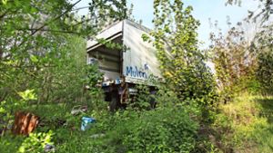 Der seit  Jahren im Wald stehende Lastwagenanhänger ist das markanteste Müllexponat in dem ehemaligen Schieferbruch. Foto: Horst Rudel
