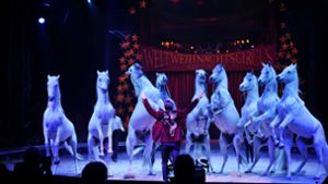 45 Pferde wirken in der neuen Show des Weltweihnachtscircus mit. Foto: Lichtgut/Max Kovalenko