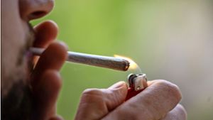 Der Besitz von bis zu 25 Gramm Cannabis soll künftig straffrei sein – das wirkt sich auch auf bisherige Strafverfahren aus. Foto: picture alliance/dpa/Hannes P Albert