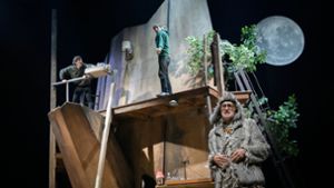 Traum-Baumhaus im Sherwood Forest: David Müller als Little John, Robert Rozic als Robin Hood und Jürg Kienberger als Eule  (von links) Foto: Thomas Aurin