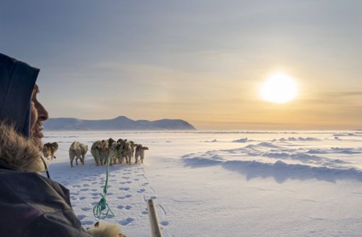 Mann und Schlittengespann: Das Überleben ohne Hunde war auf Grönland über Jahrhunderte nicht vorstellbar. Foto: imago/UIG