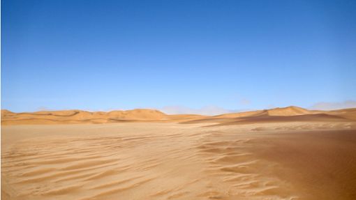 Auf den ersten Blick tot, auf den zweiten voller abenteuerlicher Begegnungen: Die Wüste Namib Foto: Bettina Bernhard