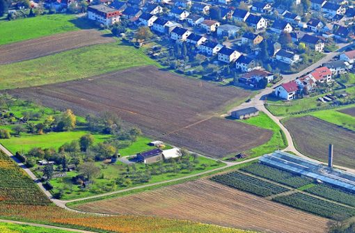 Ziel der Stadt ist, die Bagger zur Erschließung des Gebiets am Ortsrand von Rielingshausen im nächsten Jahr anrücken zu lassen. Foto: Archiv (Werner Kuhnle)